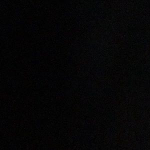 TNA Aritiza shrunken hoodie